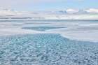 Iceland, Fjallsarlon Glacier Lagoon Art Print